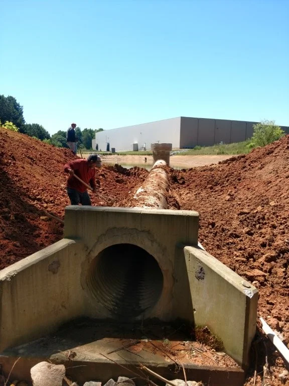 Property after professional grading