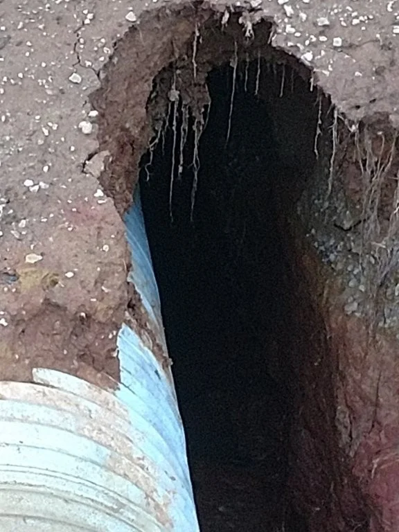 Site before grading - uneven terrain